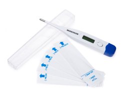 McKesson Digital Stick Thermometer